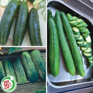 Cucumber Collection Thumbnail